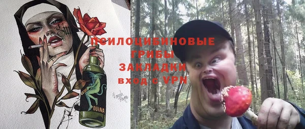 МДМА Ельня