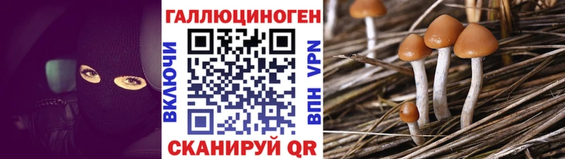 Купить  Себеж  Псилоцибиновые грибы GOLDEN TEACHER 