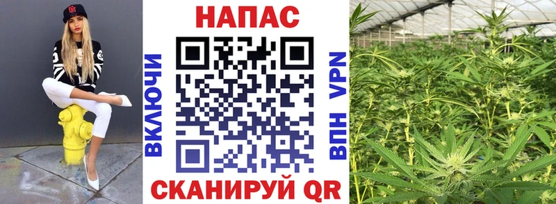 МАРИХУАНА LSD WEED  Купить закладки  Себеж 